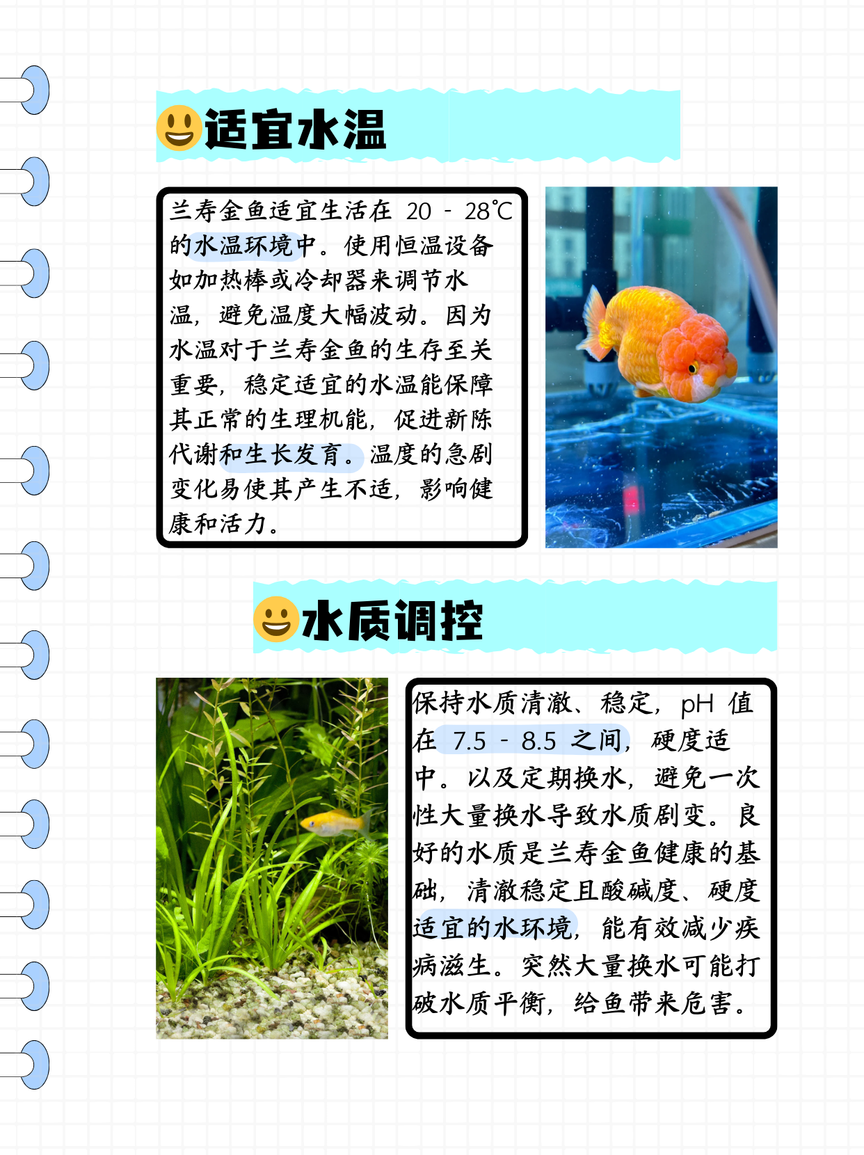 兰寿鱼的养殖方法和注意事项  1,适宜水温 兰寿金鱼适宜生活在20-28