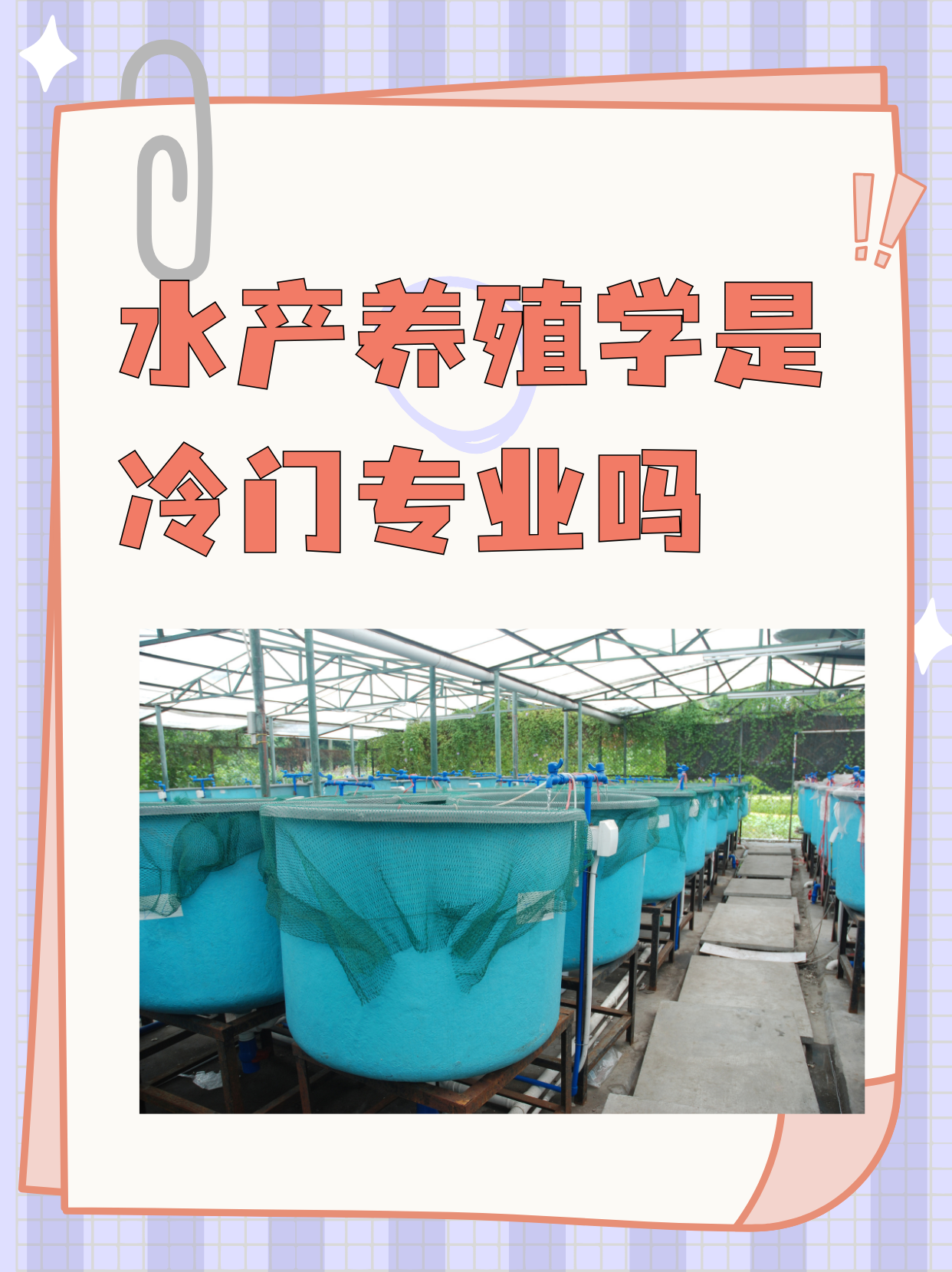 致富经水产养殖最好养的是什么的简单介绍