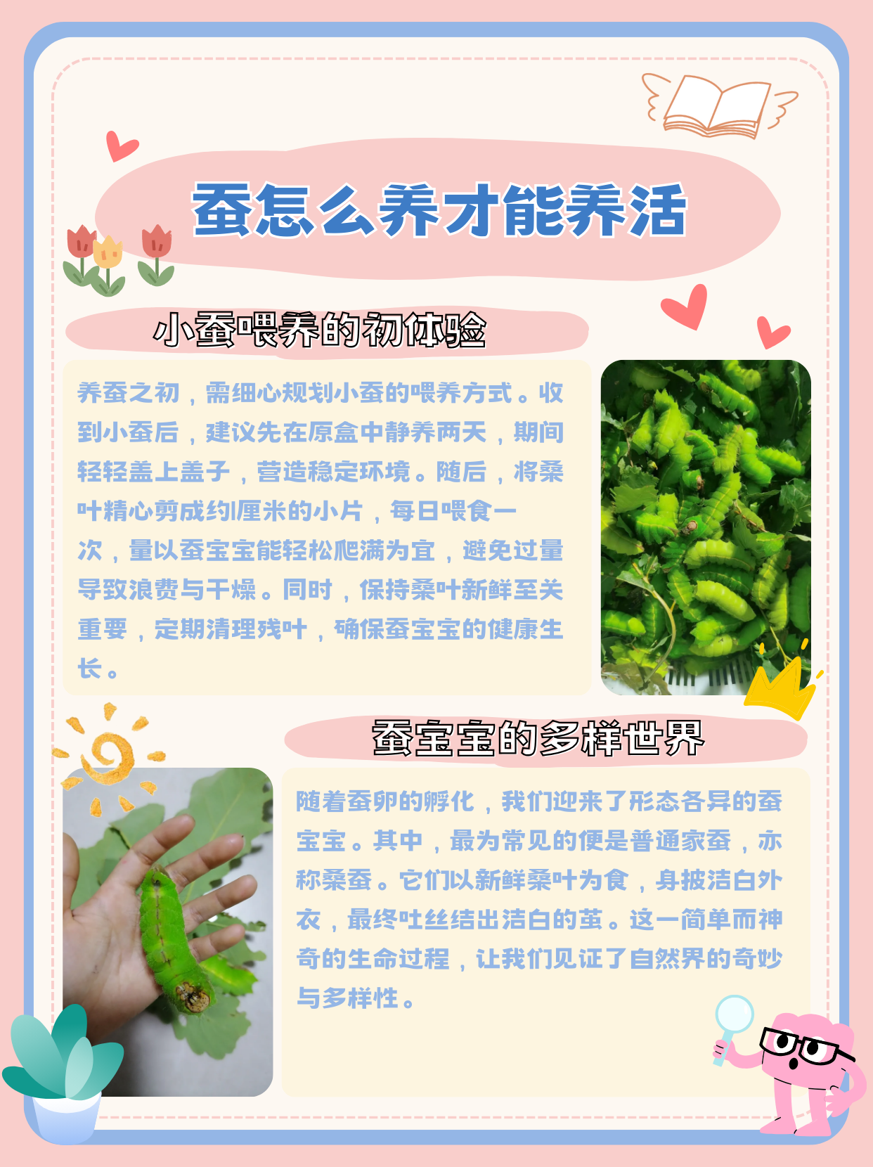 养蚕也有许多小技巧 收藏好小蚕的喂养方式  收到