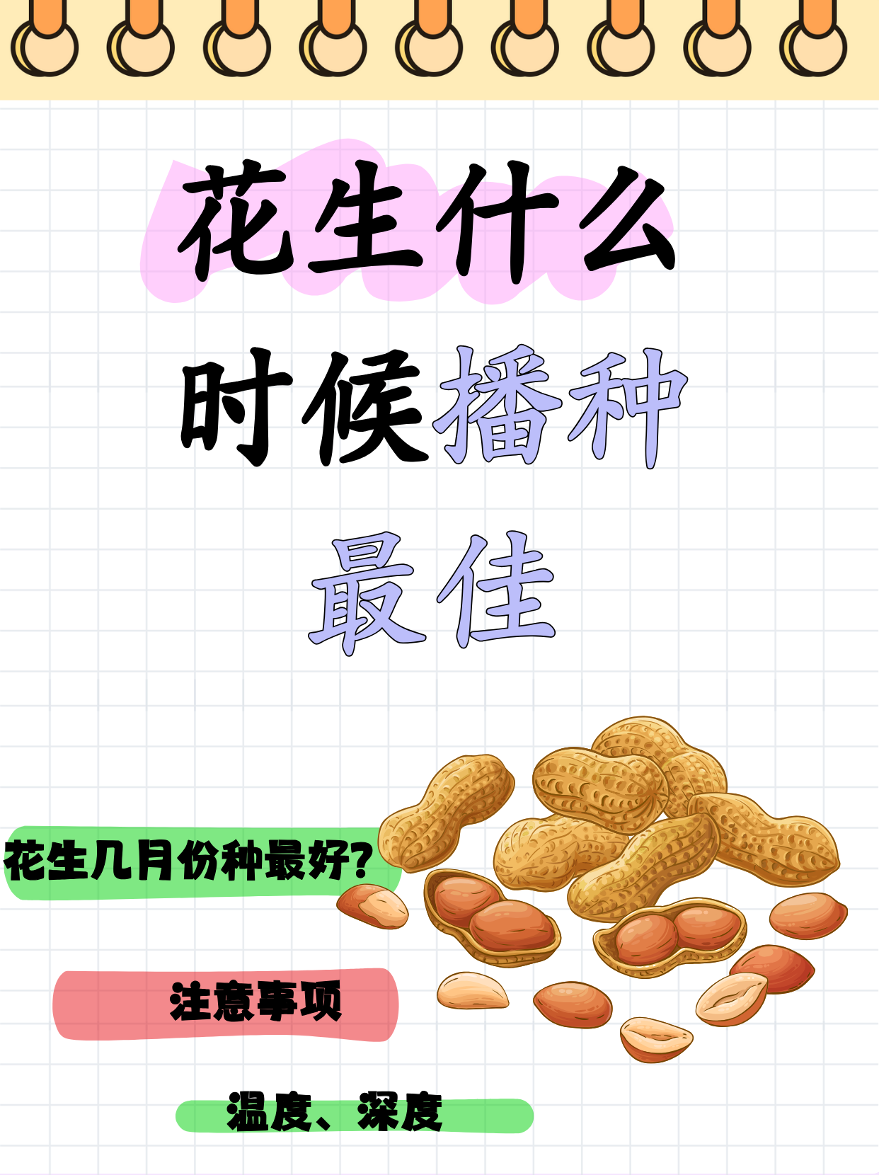 花生什么时候播种最佳  花生在种植时间上,南方和北方是不同的,华南