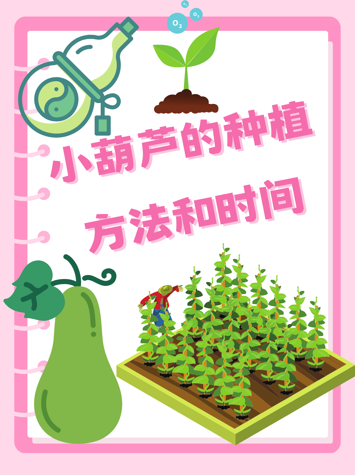 大酒葫芦种植方法图片