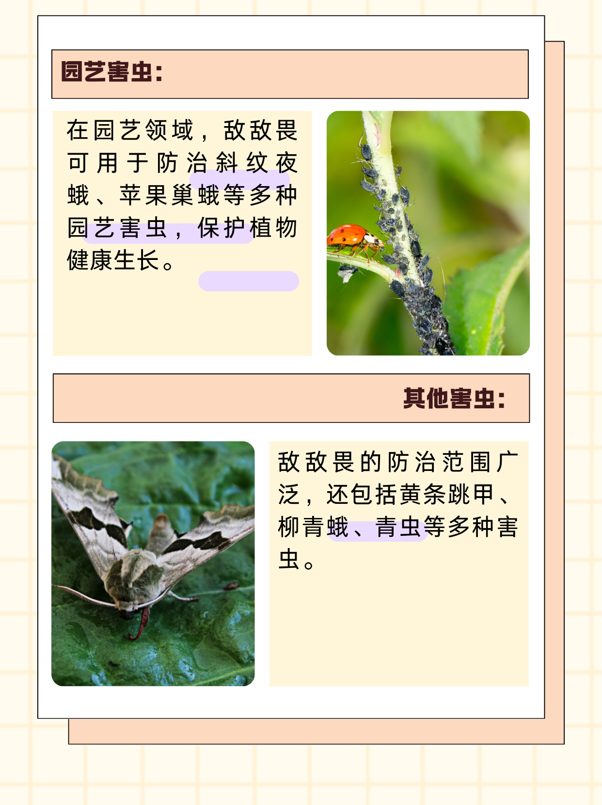 敌敌畏可杀哪些虫  敌敌畏是一种广谱性有机磷杀虫剂,具有触杀,胃毒和