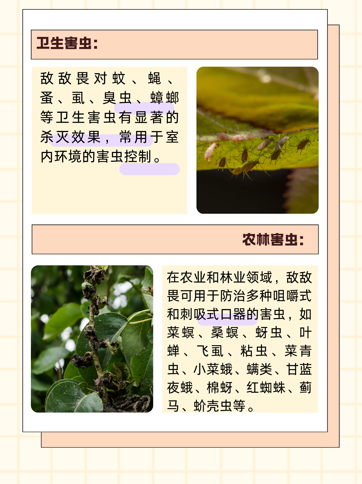 敌敌畏可杀哪些虫  敌敌畏是一种广谱性有机磷杀虫剂,具有触杀,胃毒和