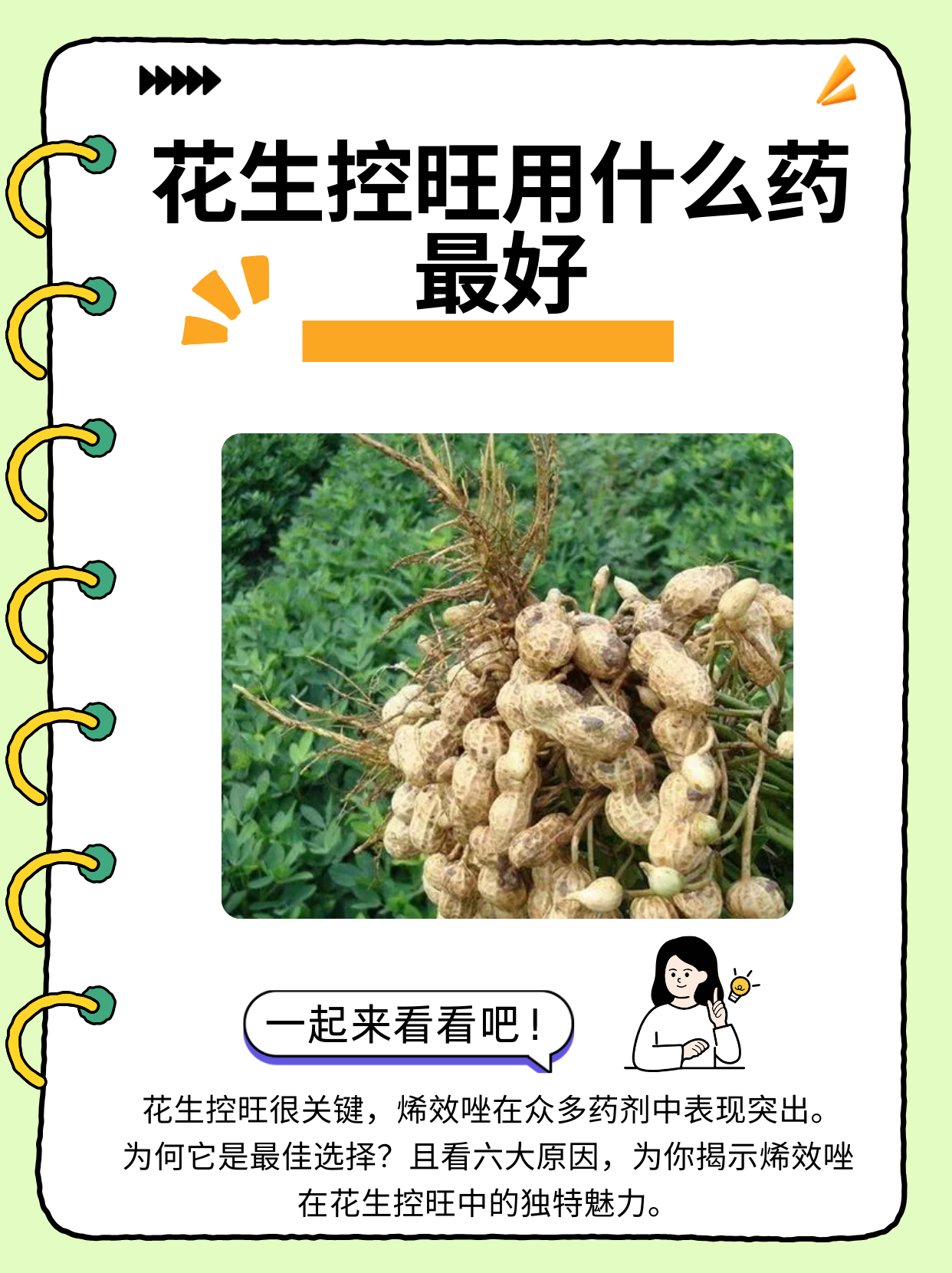 花生控旺用什么药最好  花生在生长过程中,若不进行有效的控旺管理