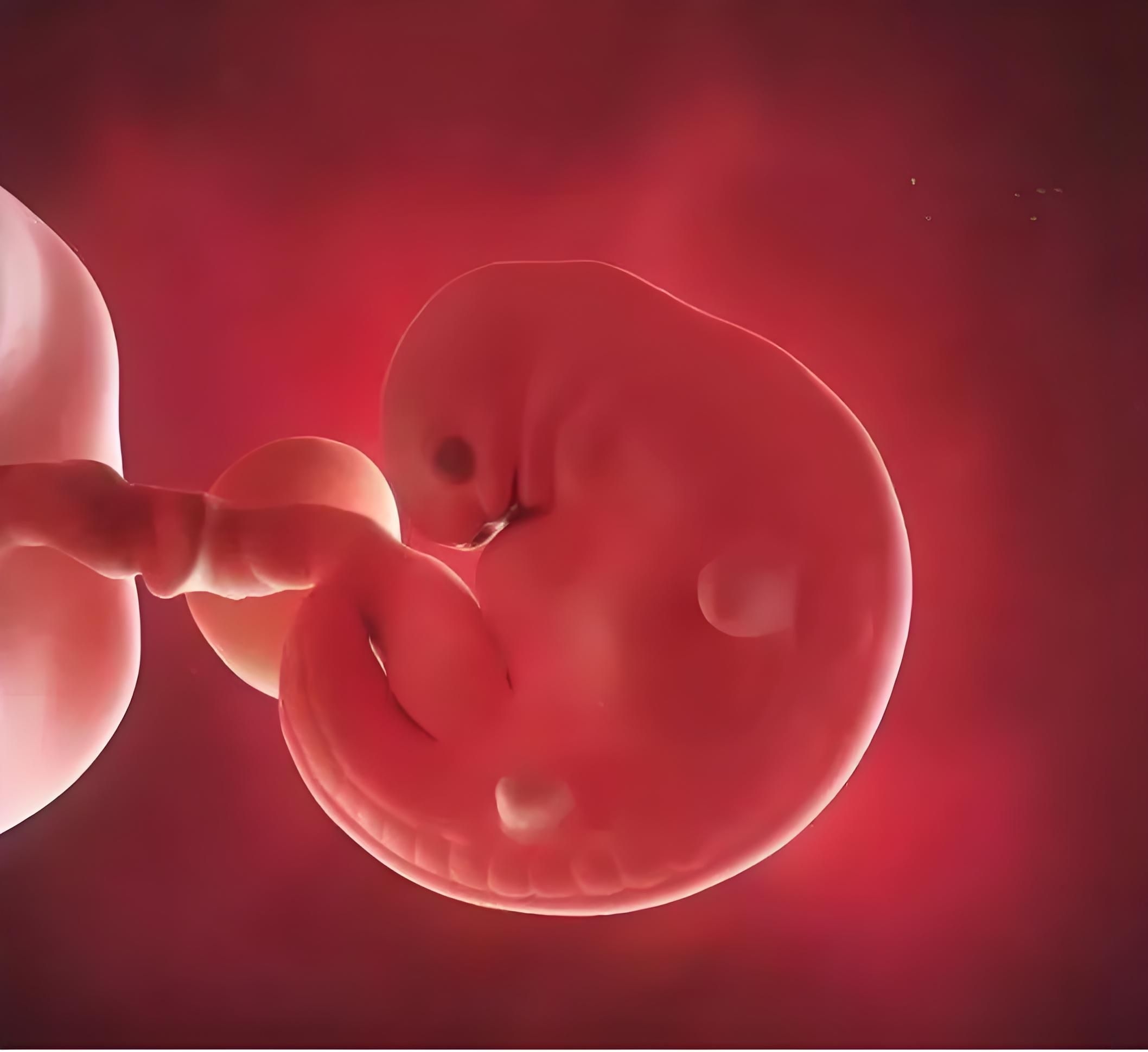 人流手术多少天做比较适合 什么时候做人流手术最适合?