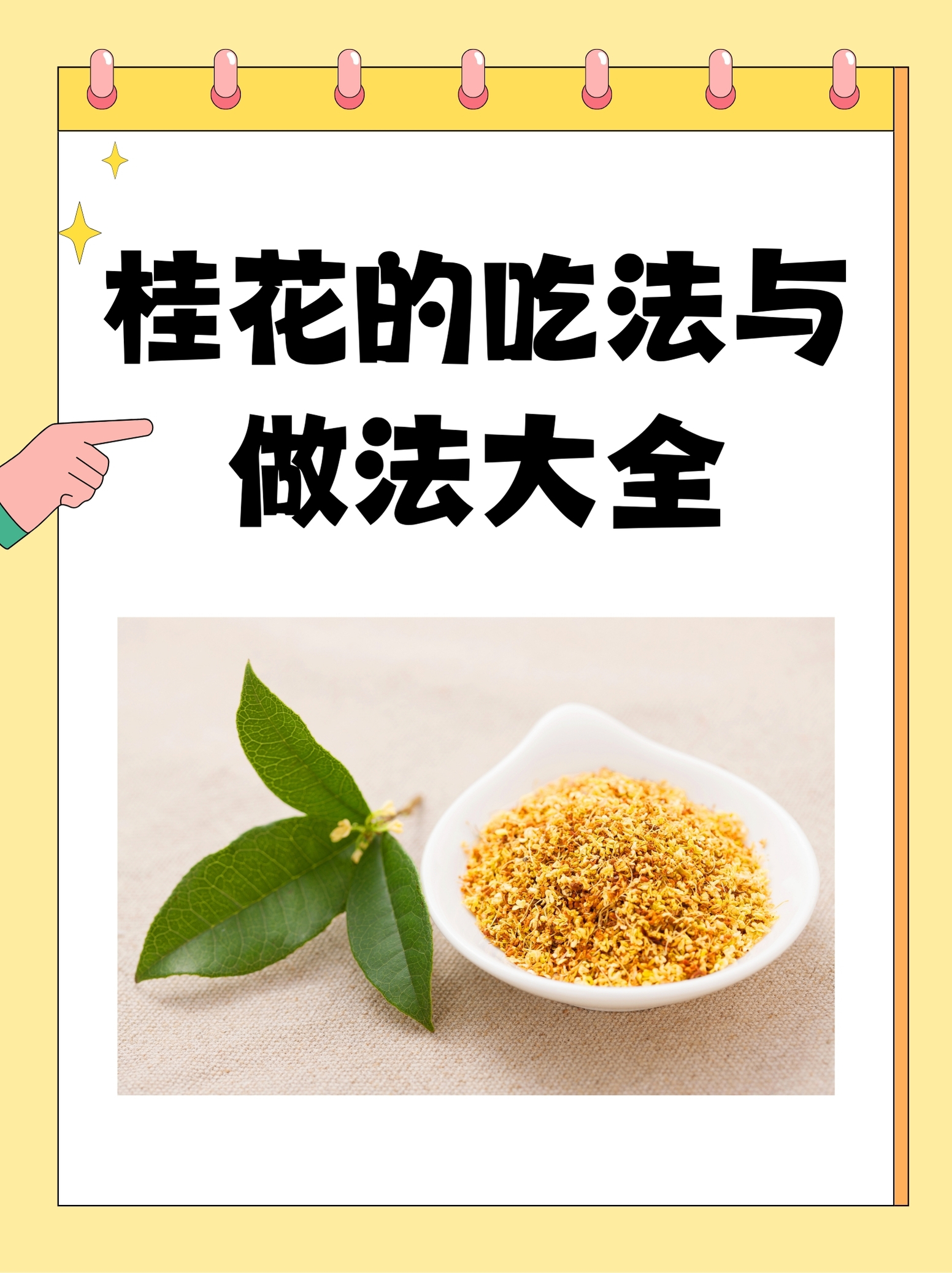 桂花蜂蜜不能和什么一起吃(桂花可以和蜂蜜泡茶吗)