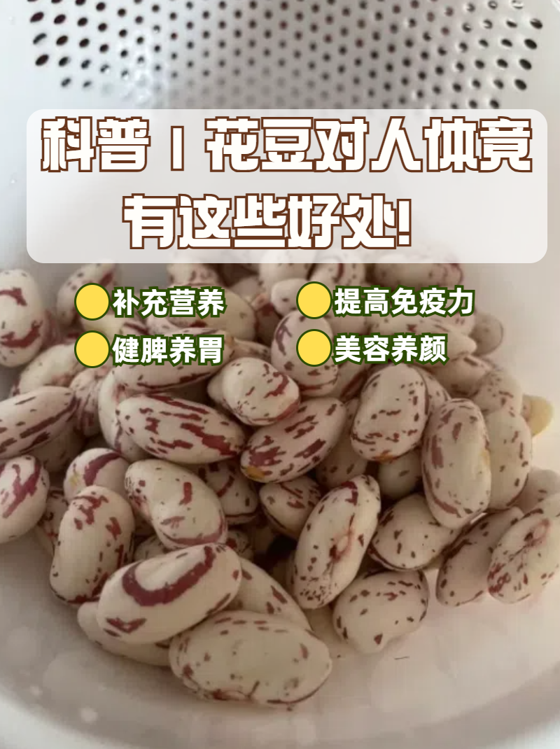 花豆品种大全图片