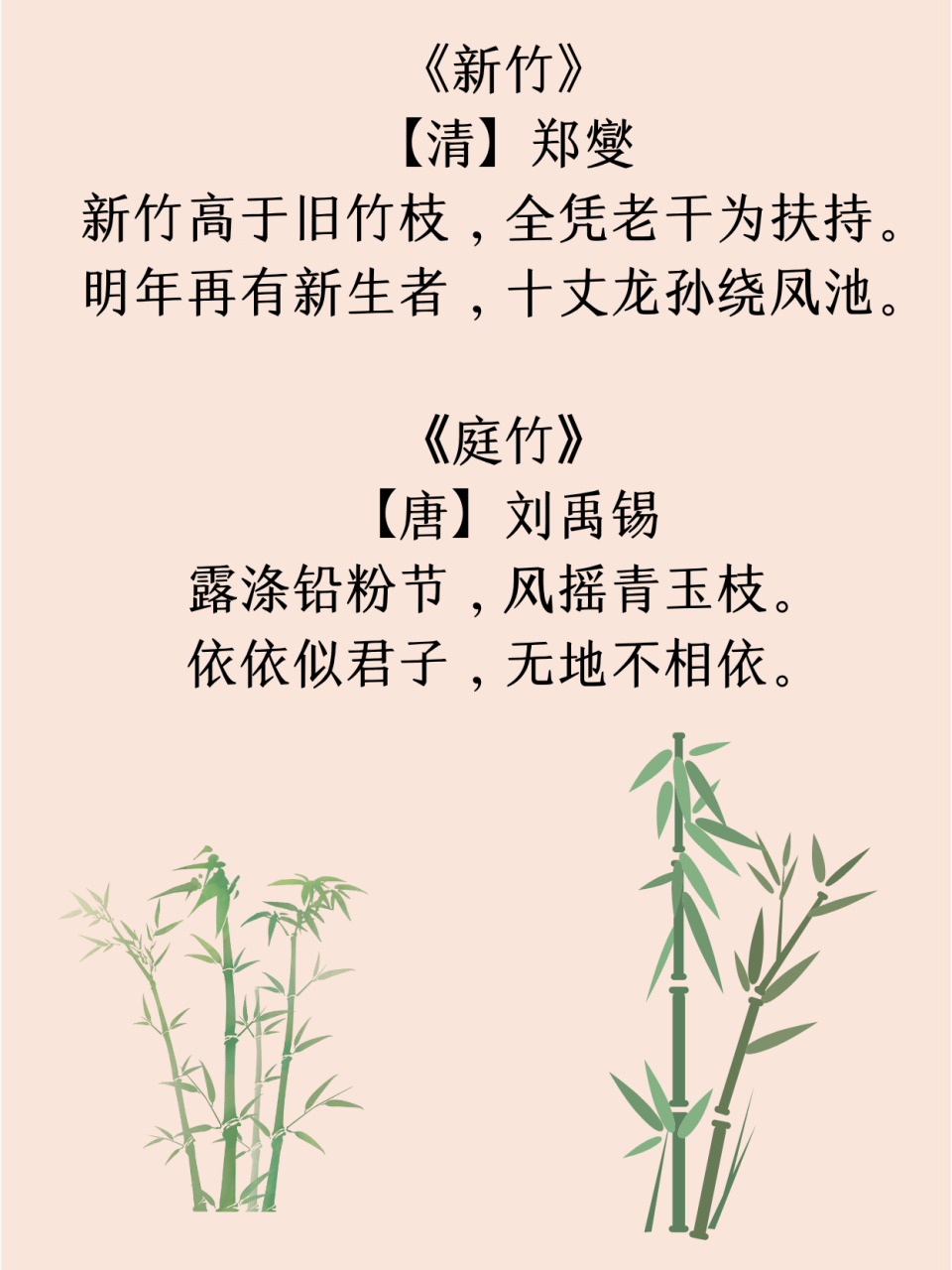 题竹菊古诗图片