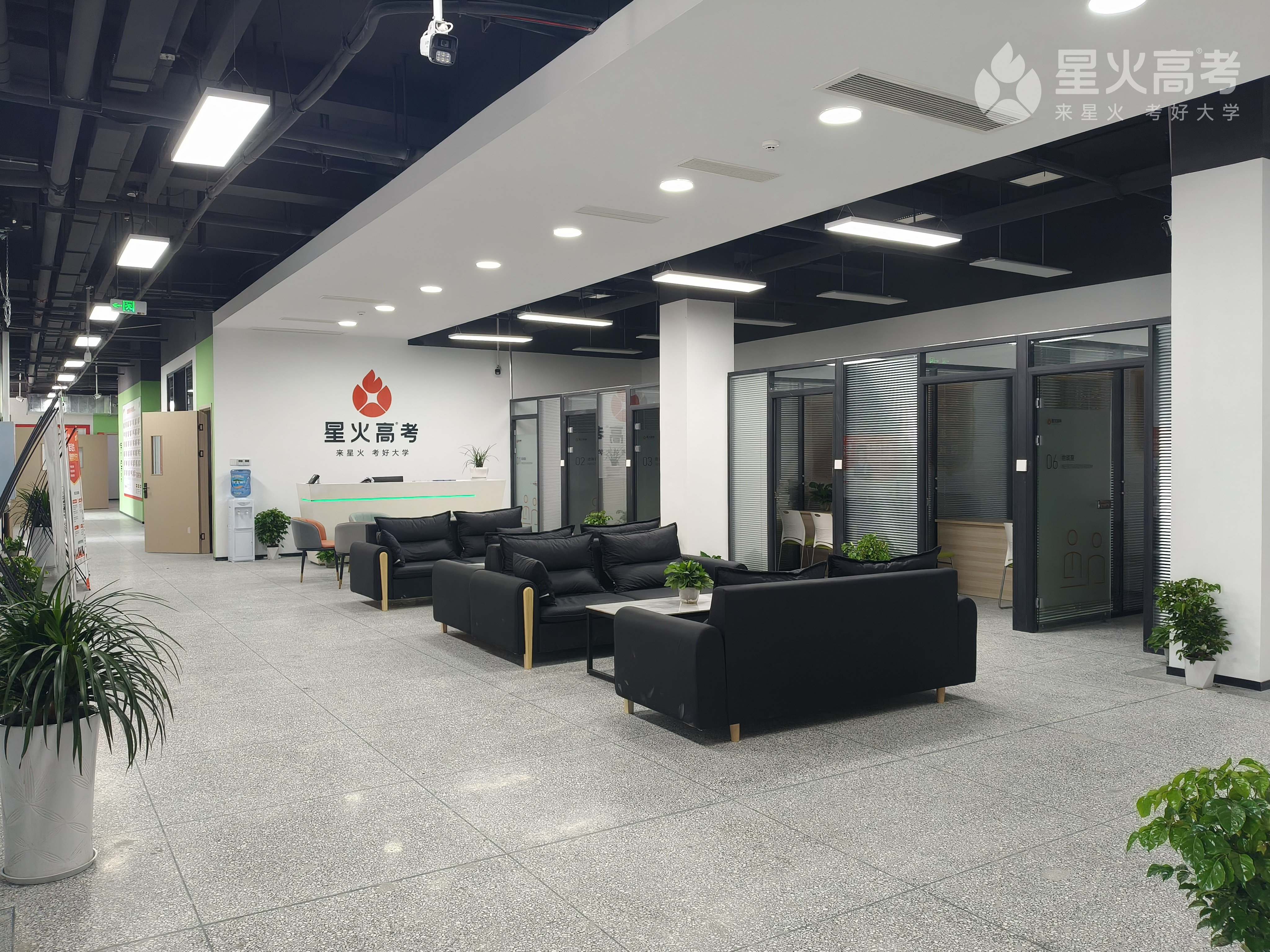 四川高三艺考文化课补习机构,高考冲刺辅导机构分享:星火高考文化冲刺