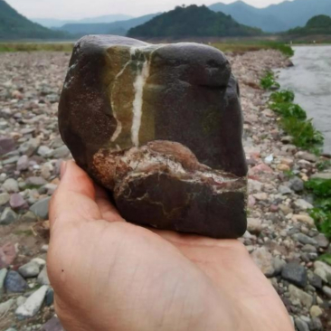 周末到郊外游玩,在干涸的河道里发现了这块石头,觉得花纹挺奇特挺有