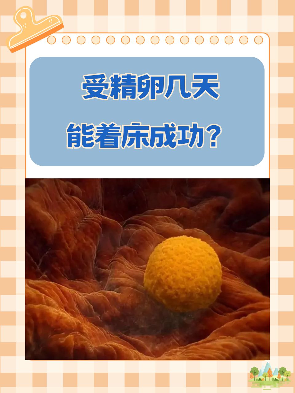 受精卵多少天着床有什么症状(受精卵一般多久着床会有什么反应)  第2张
