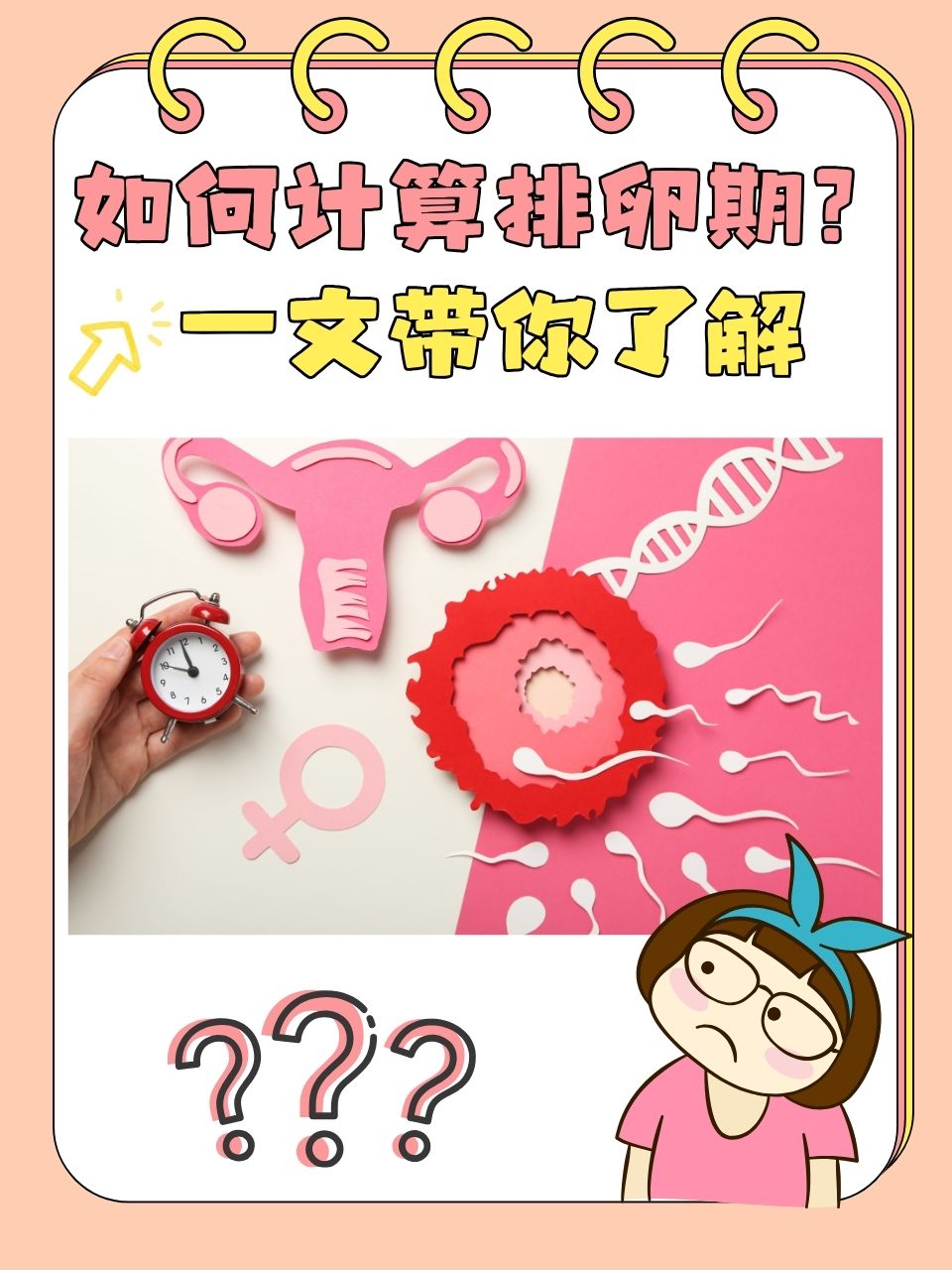 怎么促进女人排卵_怎么促进女人排卵怀孕