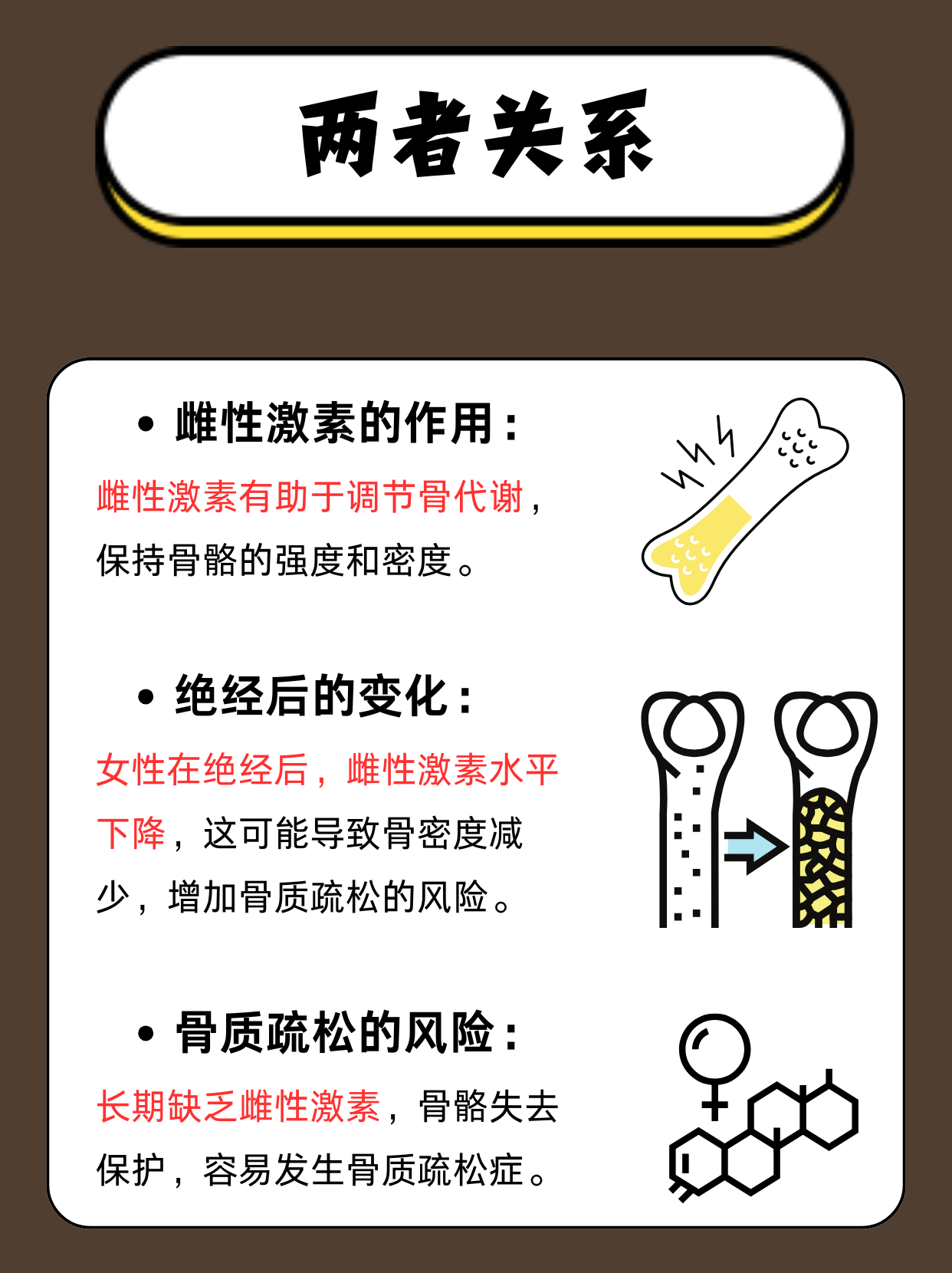 雌性激素在维持骨密度方面起着关键作用,尤其是在女性身上