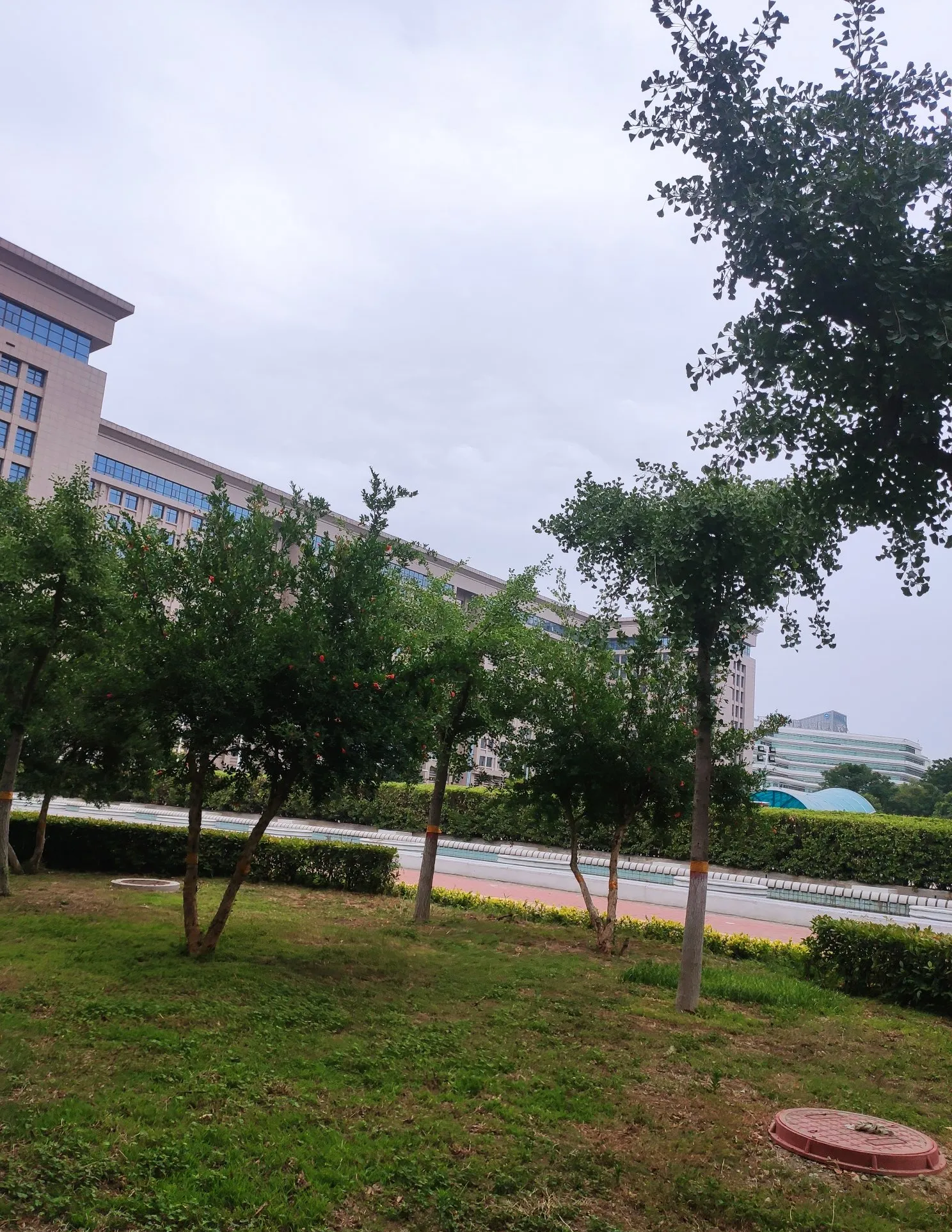 新乡15天天气预报