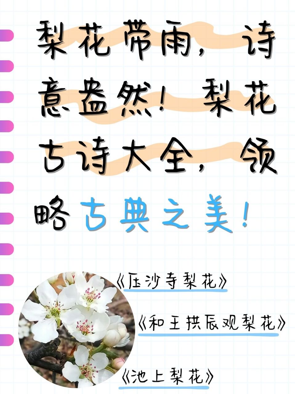 孩子明天语文课上要学习一首关于梨花的古诗,说今天回来收集下还有