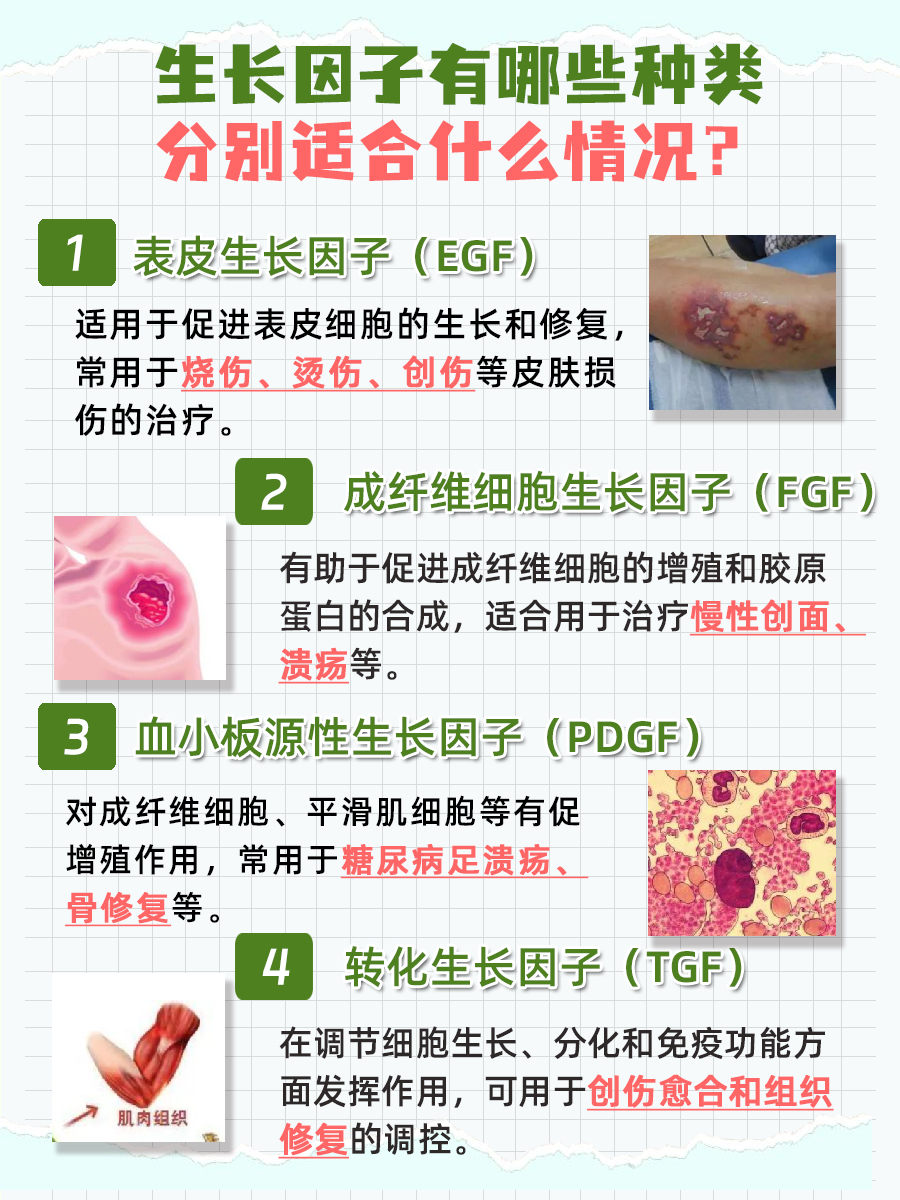 生长因子的价格,一盒究竟几何?