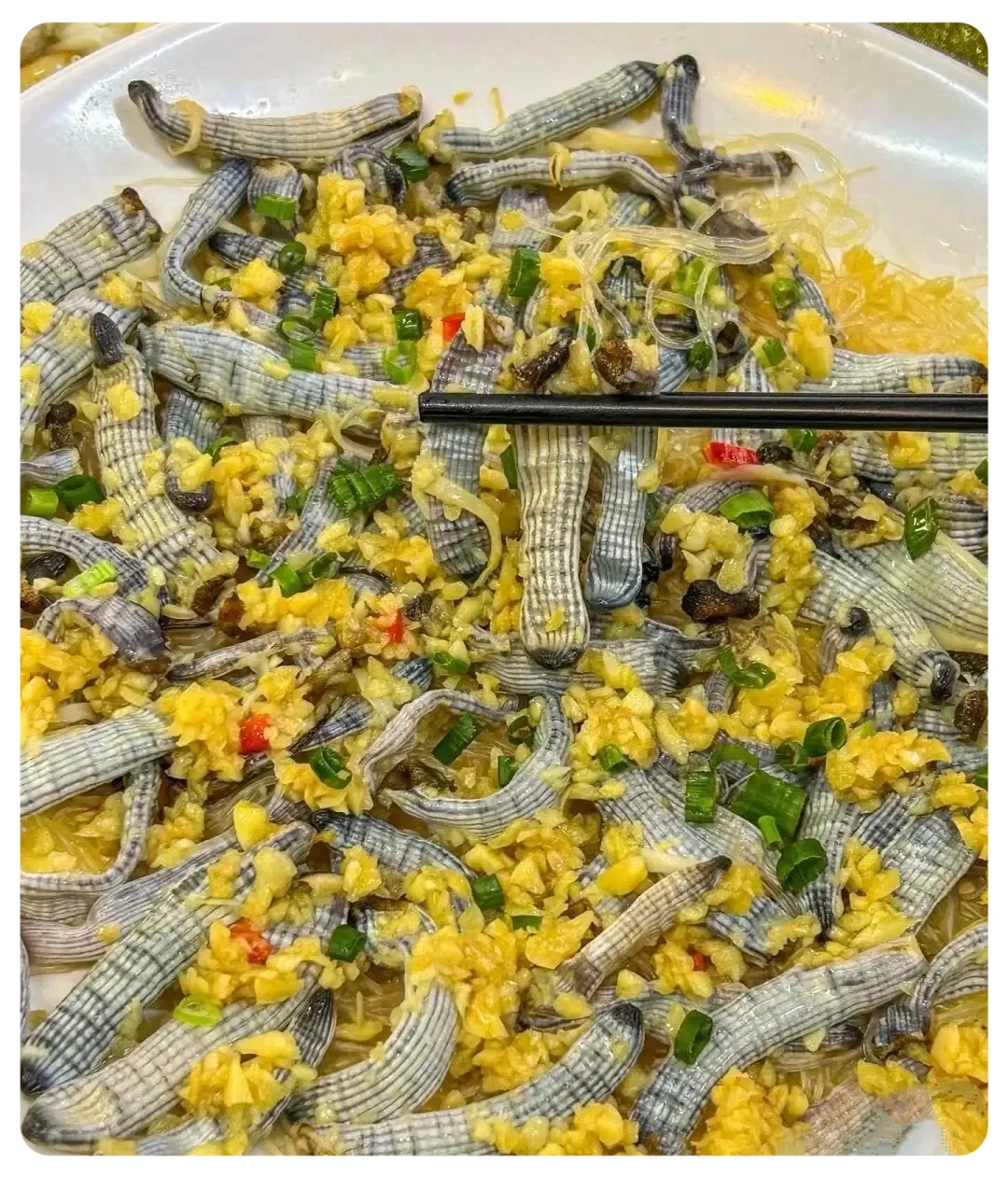 你们吃虫? 哪位广东朋友出来解释一下,这是什么菜啊? 实在是不敢吃