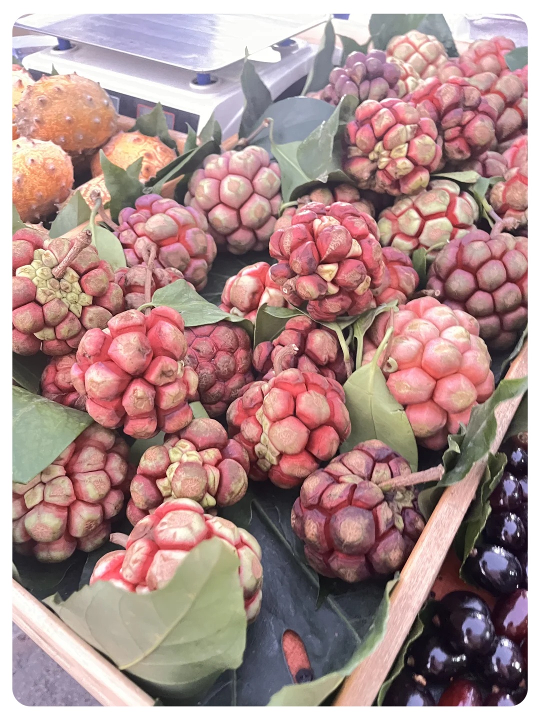 大馋丫头又想吃又怕踩雷,卖的也不便宜!这都是什么水果啊?有认识的嘛?