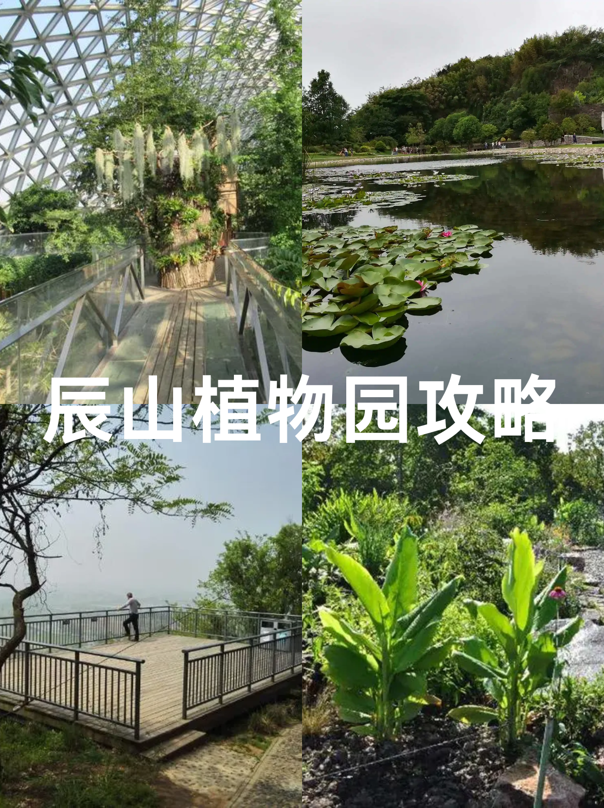 辰山植物园攻略  辰山植物园位于上海市松江区,是上海最大的植物园