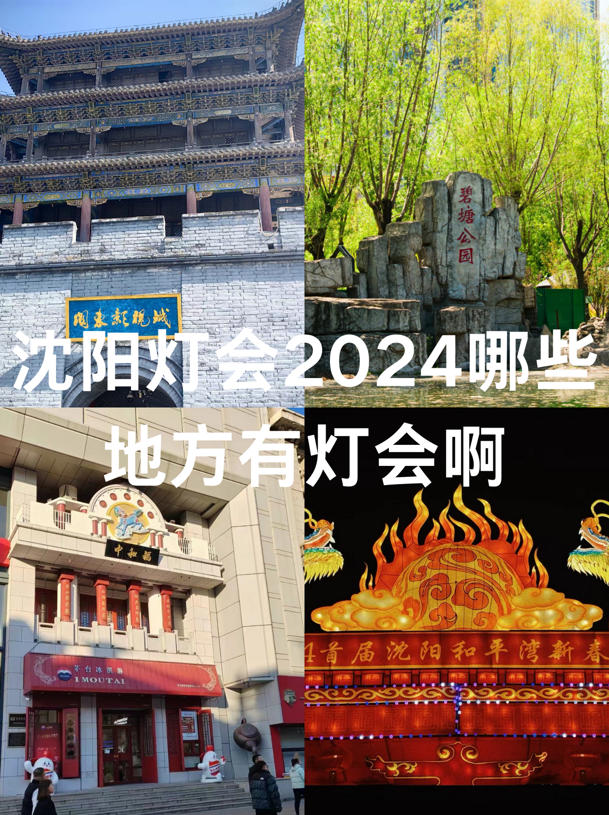 沈阳南湖公园灯会2022图片