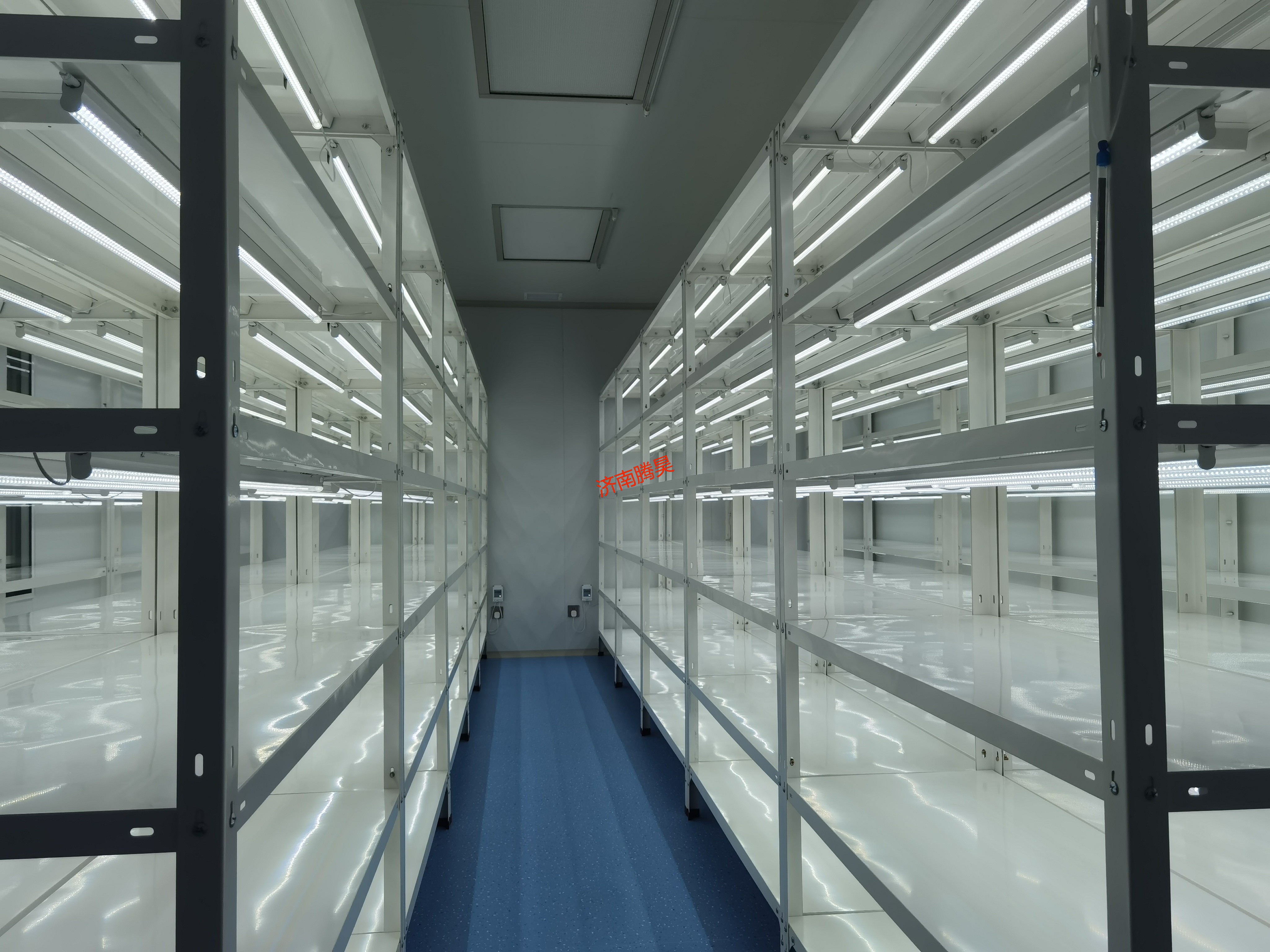 组织培养架定制,济南组培架厂家#组培架# #组织培养架