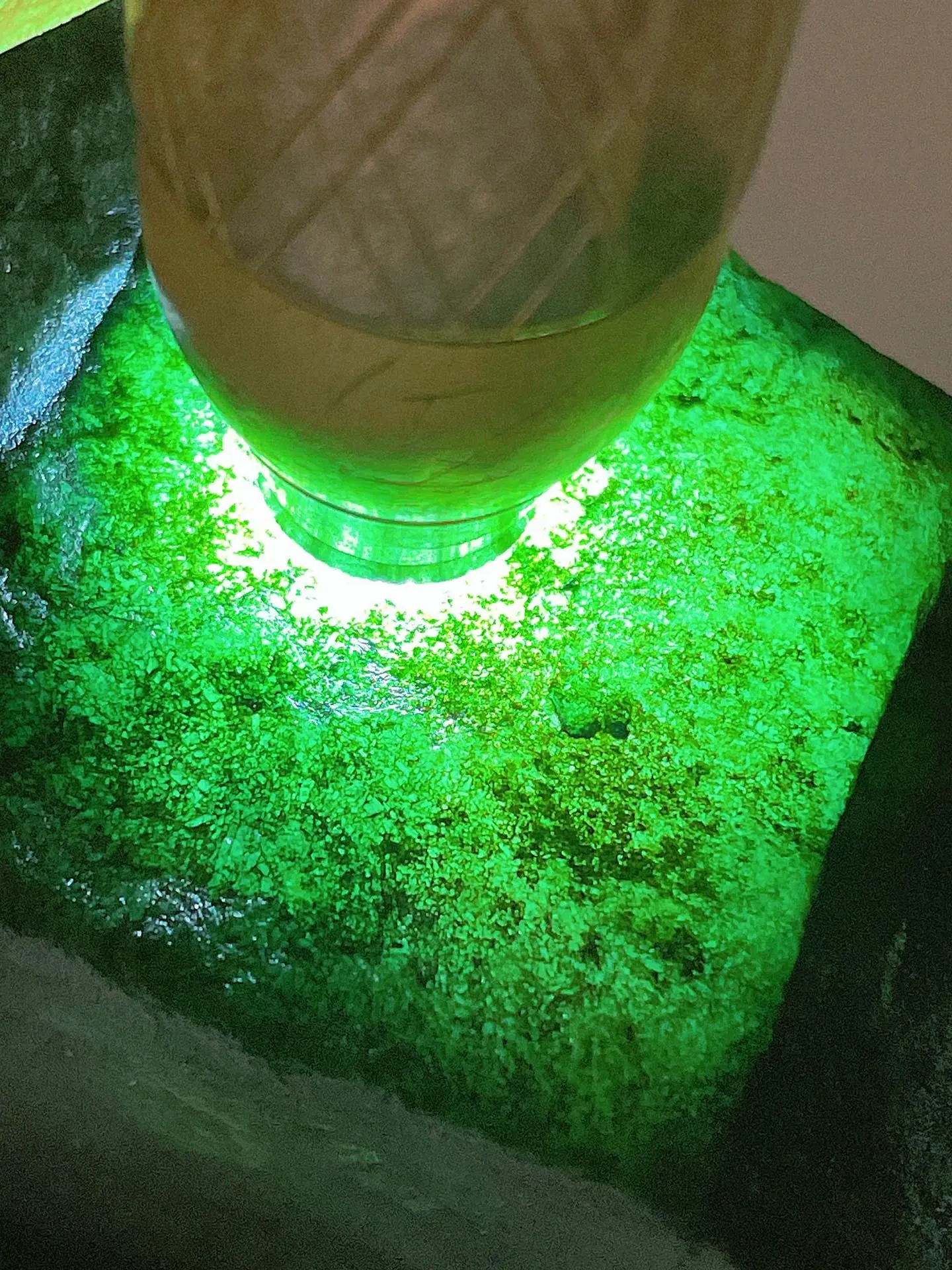 深绿色竖屏