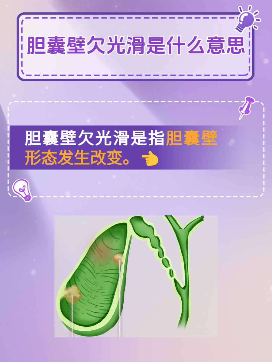 胆囊,这个看似不起眼的消化器官,却扮演着至关重要的角色