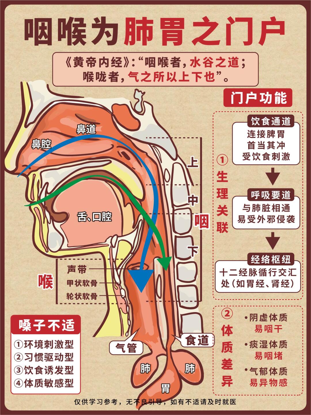 前面还是后面咽喉与肺胃人体口腔咽喉肺咽食图片咽与喉有什么区别喉咙