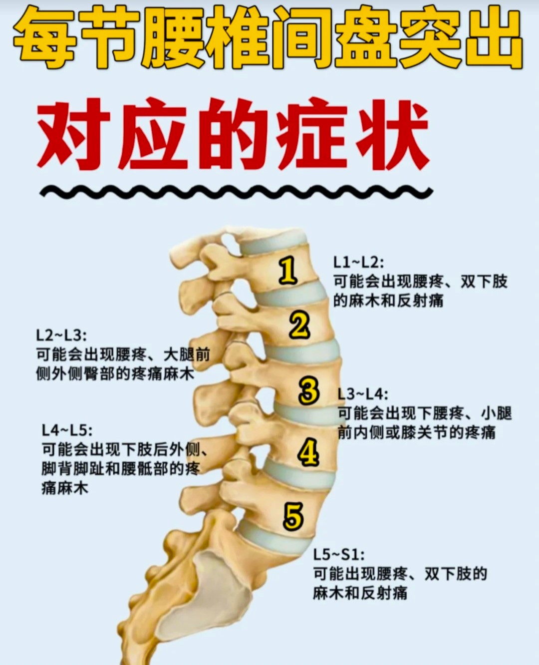 荐椎在什么位置图片图片