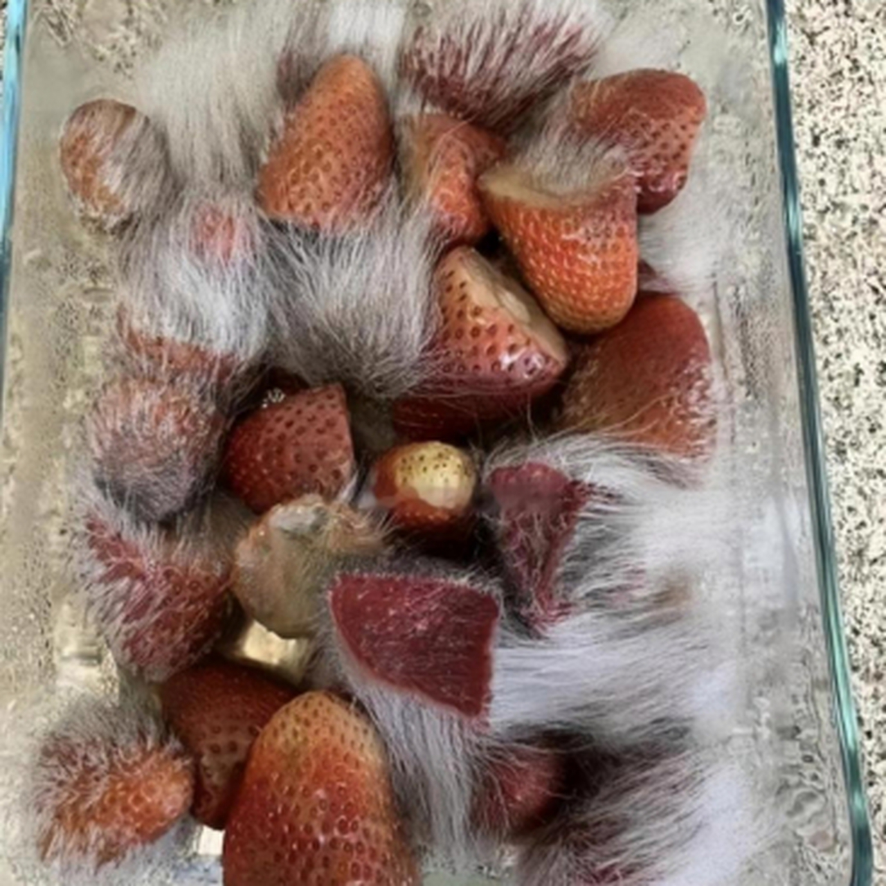 两天前去摘的草莓吃不了那么多,就放冰箱里了,说拿出来吃,怎么长毛了?