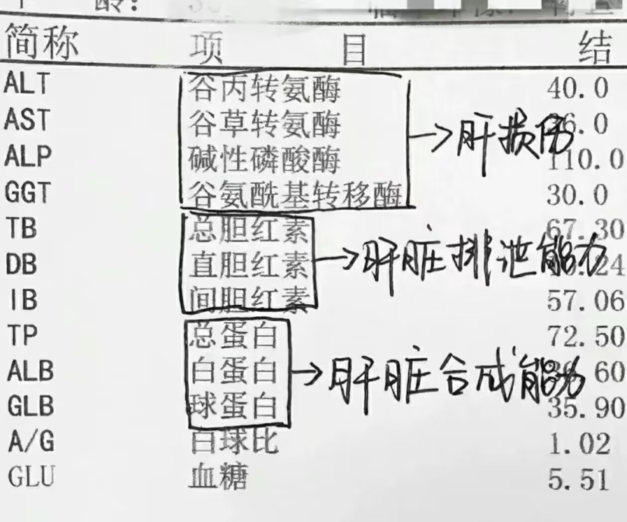前几天单位组织体检,王女士发现自己肝功能的转氨酶那项升高,担心