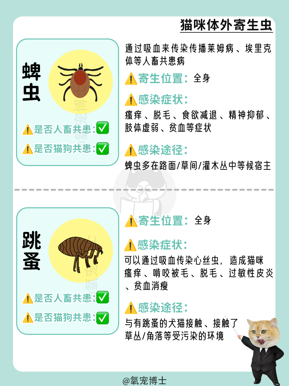 14种猫咪常见寄生虫图鉴!12种人猫共患!