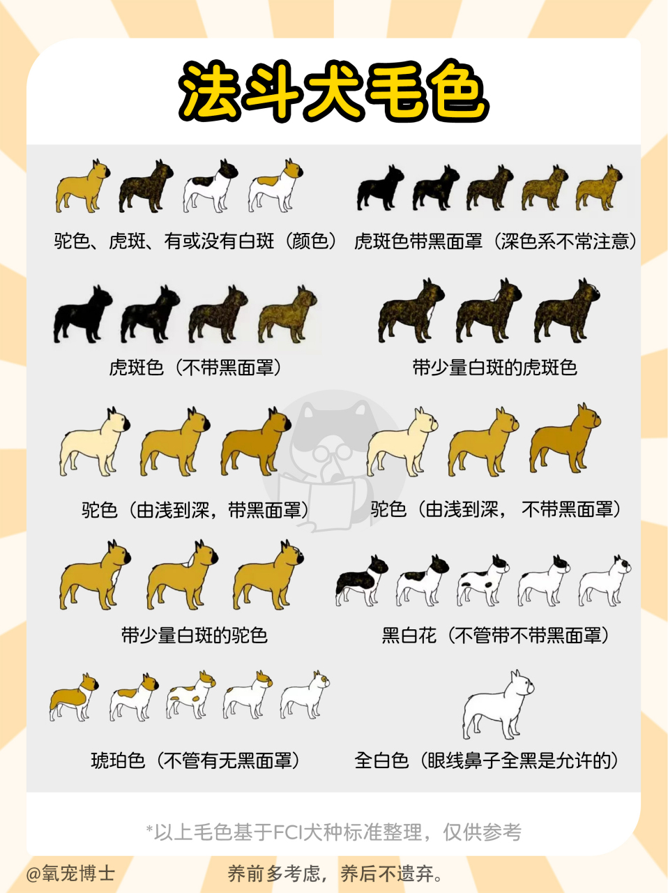 法国斗牛犬标准图解图片