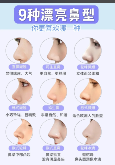 美观的鼻子一般挺拔,比例协调