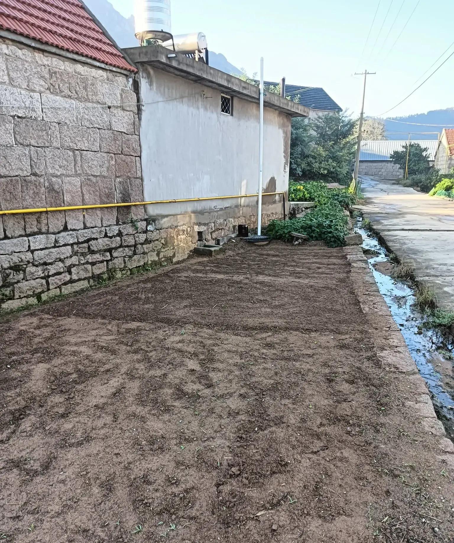 自然适宜在寒冷的环境下生长,现在的温度及季节只适合种秋菠菜,待温度