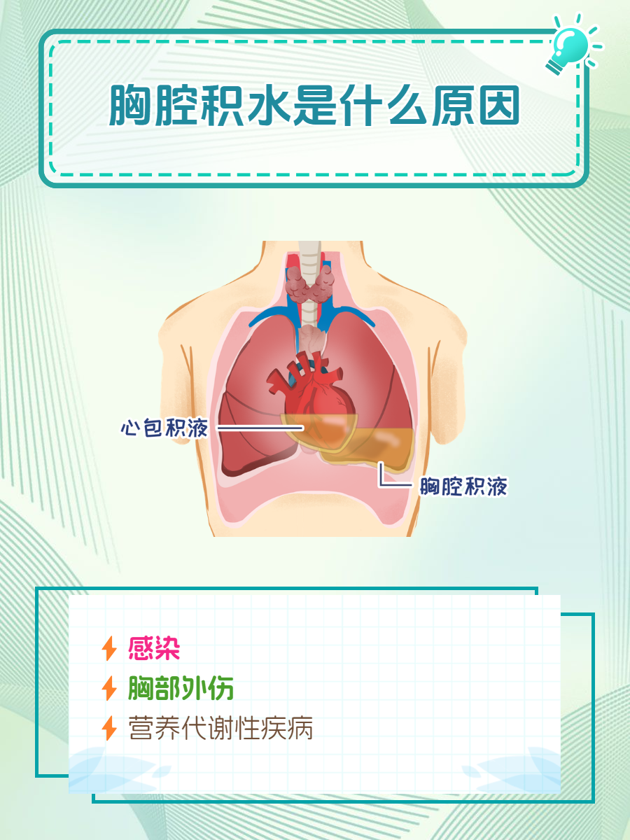 心包积液常见图片