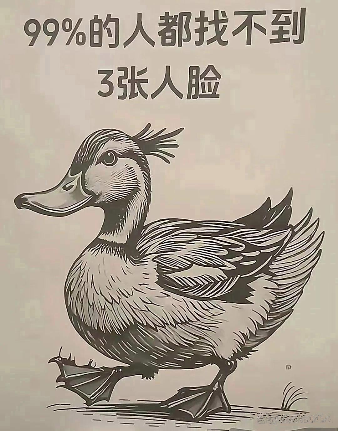 这图老神秘了据说瞅出的人大脑状态贼好