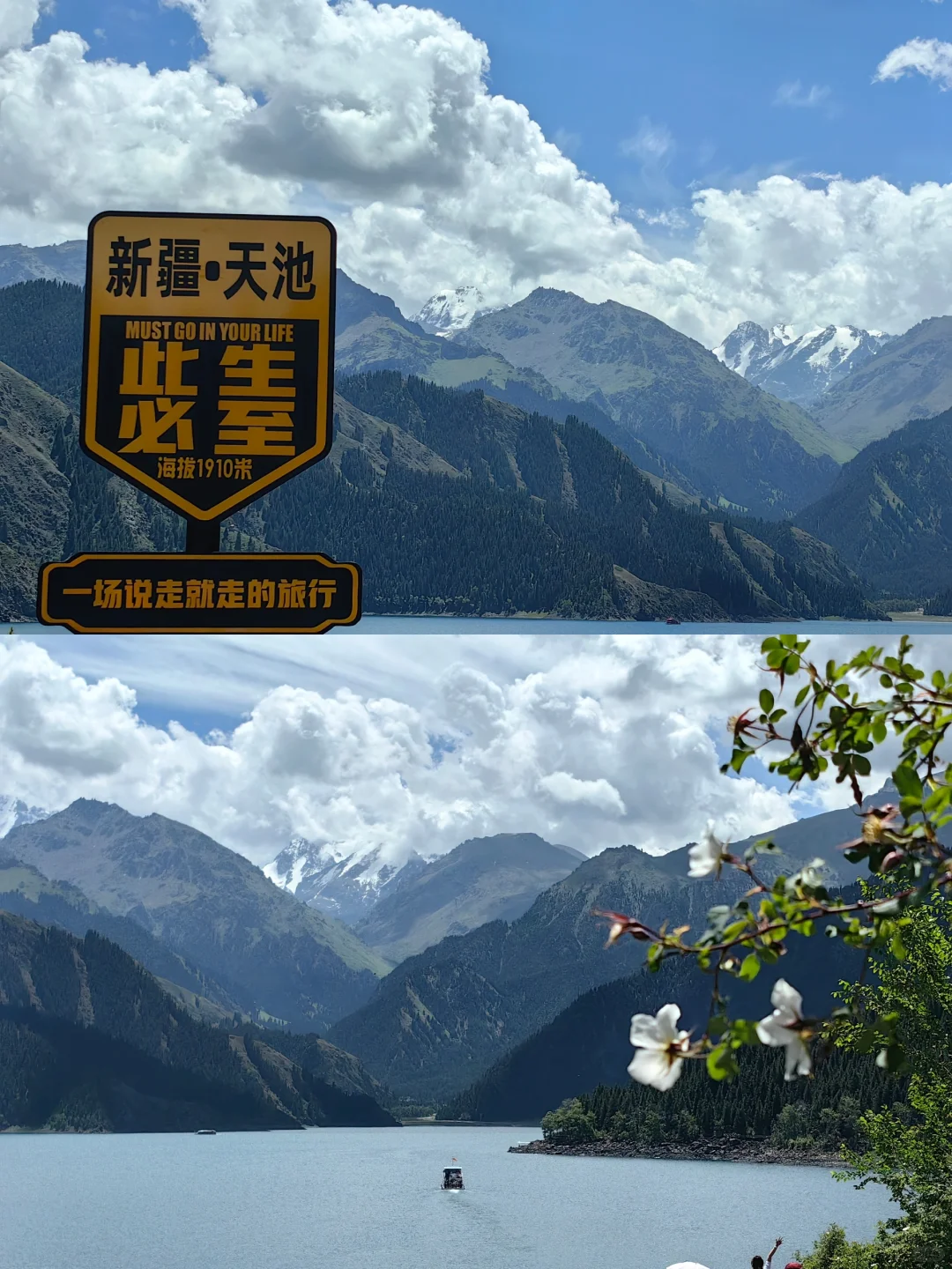 宁波去新疆天山天池包车