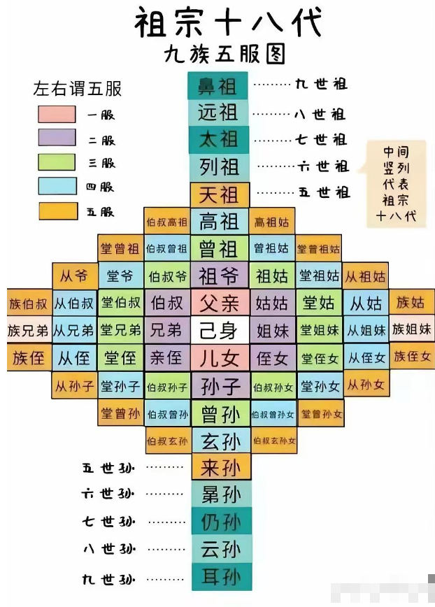 几代人算一个家族