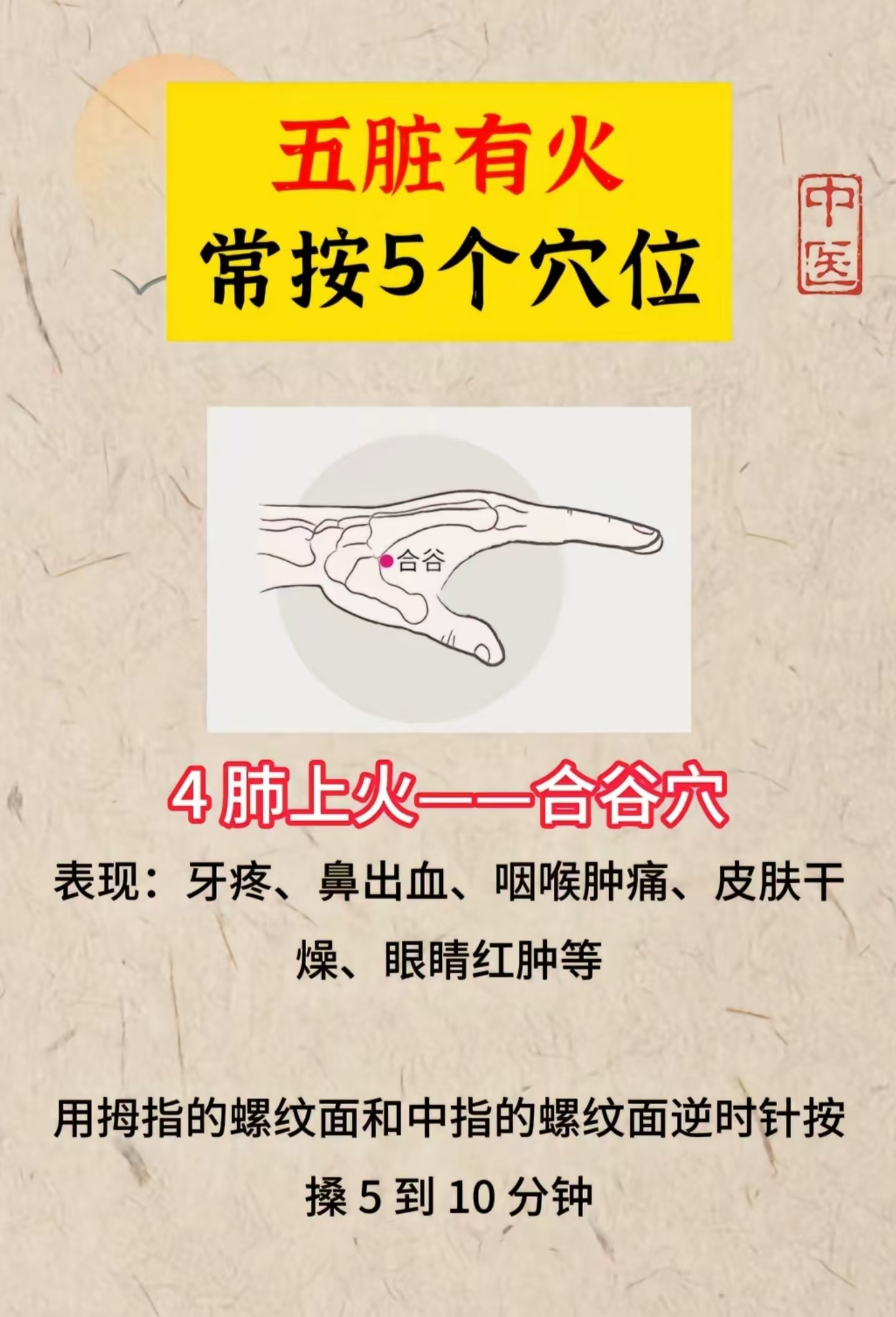 合谷的位置图片