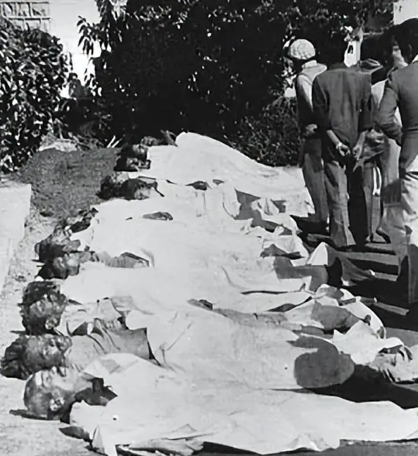 1984 年寒冬的一个夜晚,印度中部城市博帕尔,被死亡阴影彻底笼罩