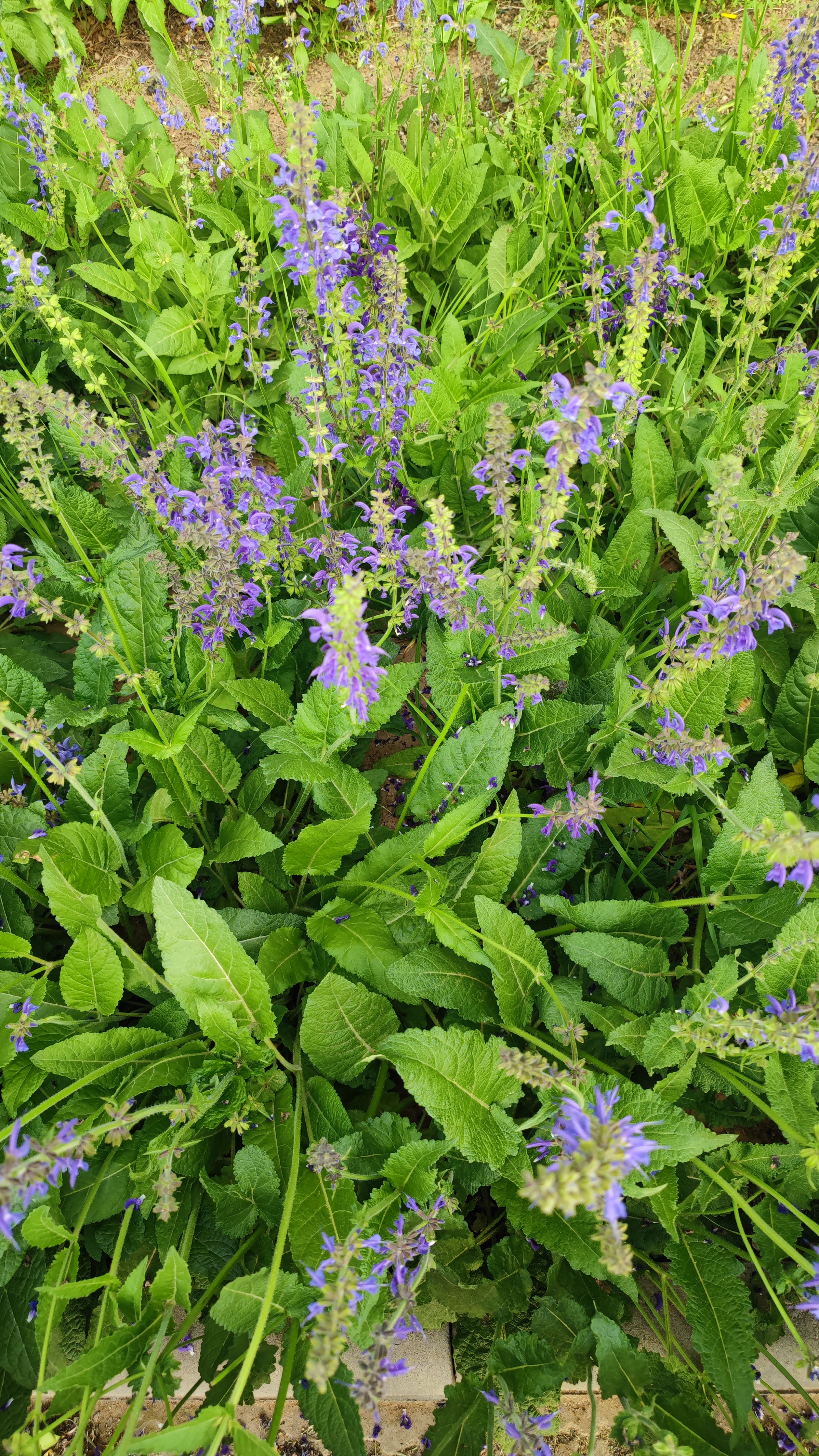 新鲜感过了怎么维持感情?