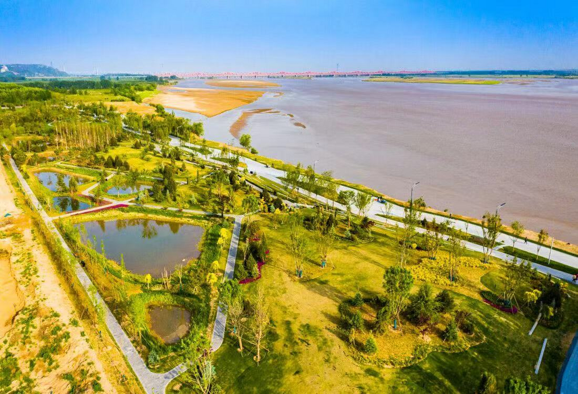 郑州夏日乐游# 郑州黄河国家湿地公园:黄河岸边的绿色长廊 郑州黄河