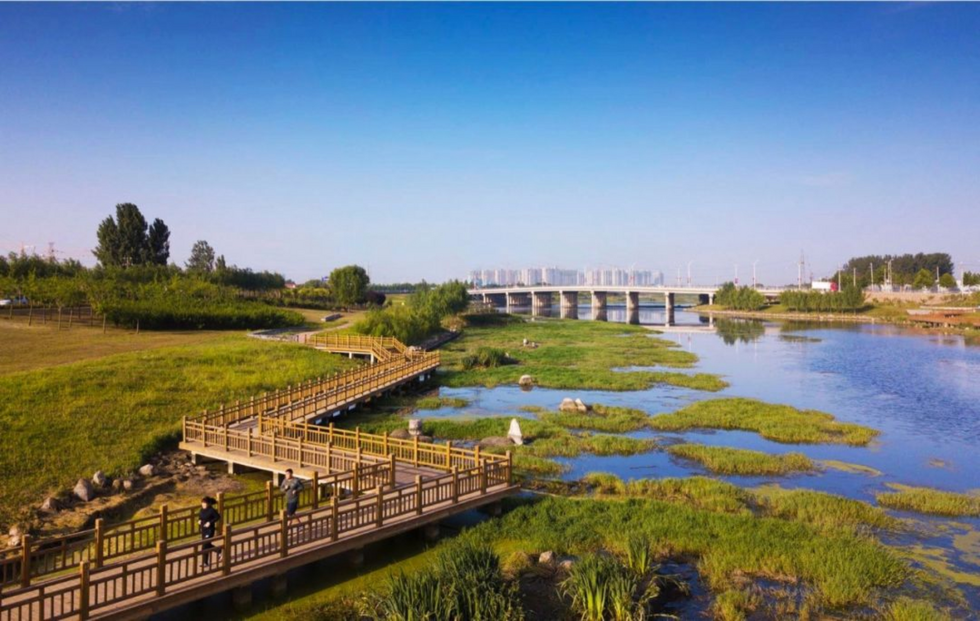 郑州夏日乐游# 郑州黄河国家湿地公园:黄河岸边的绿色长廊 郑州黄河