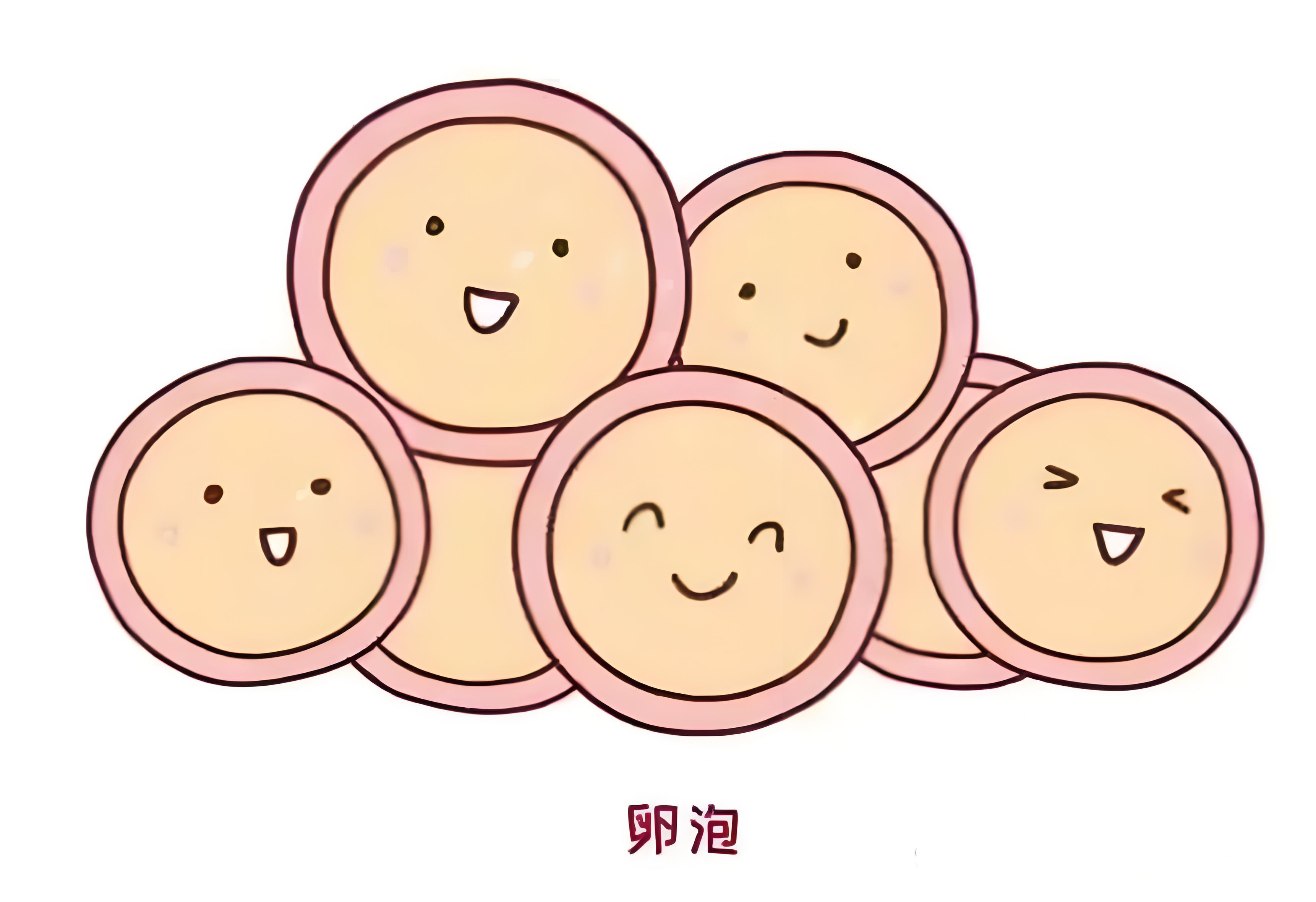 双侧卵巢卵泡较多(双侧卵巢卵泡较多是什么意思)  第2张