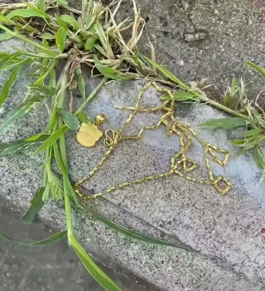 这不前两天邻居刘阿姨去村东头那块儿地薅草路过老王家鱼塘旁边的