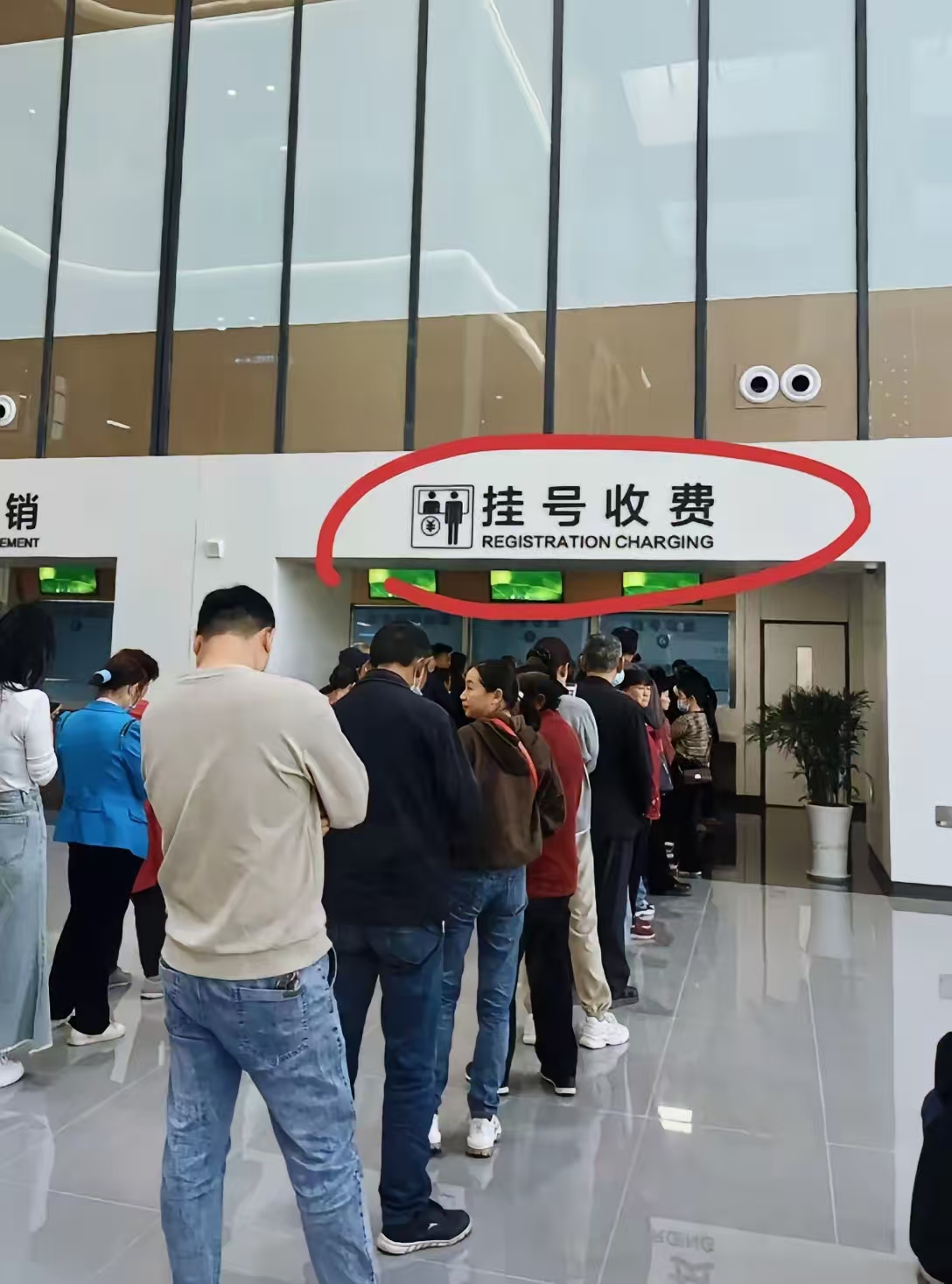 关于民航总医院帮忙挂号陪同看病省去排队烦恼，高效便捷就医的信息