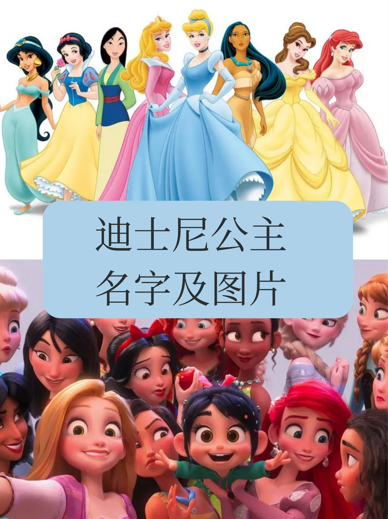迪士尼公主名字及图片