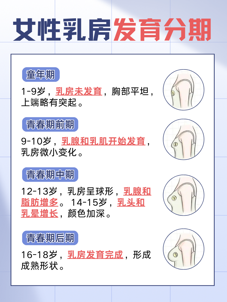 乳房什么时候停止发育  乳房发育是女性青春期的重要标志之一