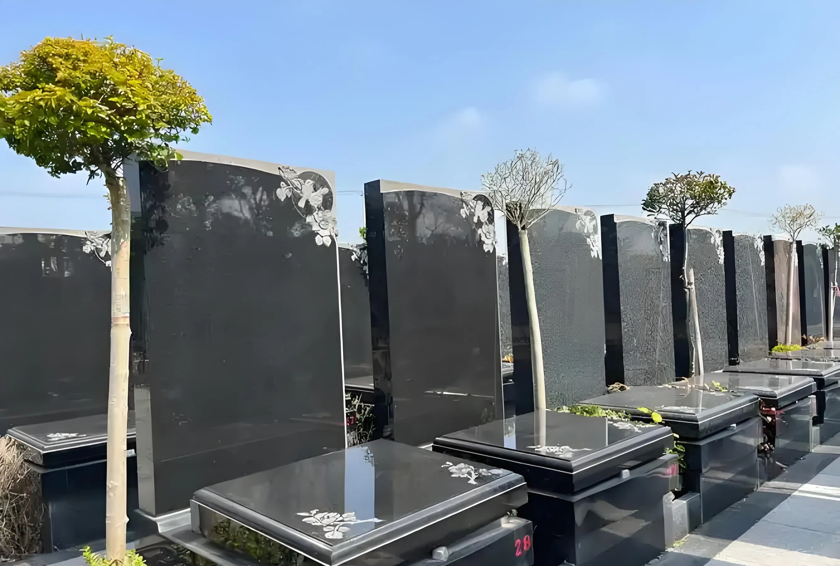 我大姐愁死了,本来就担心女儿嫁不出去,这下真要的砸手里了